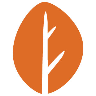 vooletersts.com favicon